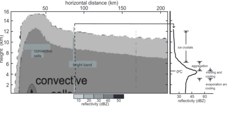 Figure 1 - A transversal mesoscale convective system (MCS) reflectivity section scheme.
