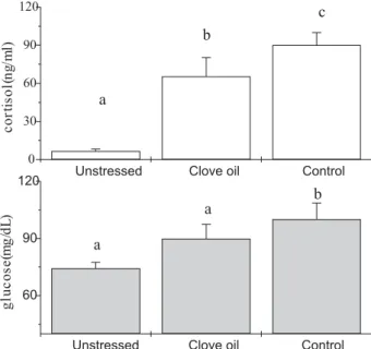 Figure 1 - Effect of clove oil on plasma cortisol and glucose of matrinxã submitted to transport