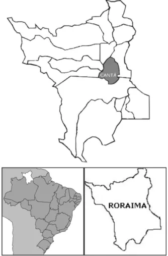 Figure 1 - Location map of the study area; Cantá city, Roraima State, Brazil.