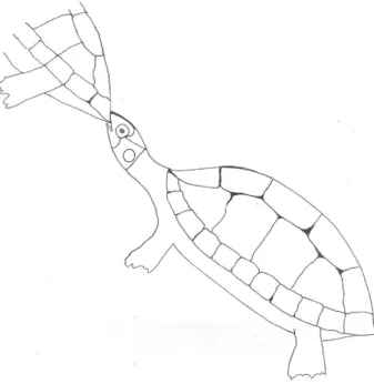 Figure 1 - Biting onto the carapace of another turtle. Usually females bite  the male.