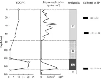 Figure 2 - Stratigraphy of Mapire core. Concentration (%) of soil organic carbon  (SOC) vs