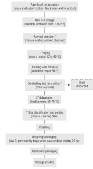 Figure 1 - General flowchart for processing of Brazil nuts including shelling  and sorting steps[*] (Pacheco and Scussel 2009).