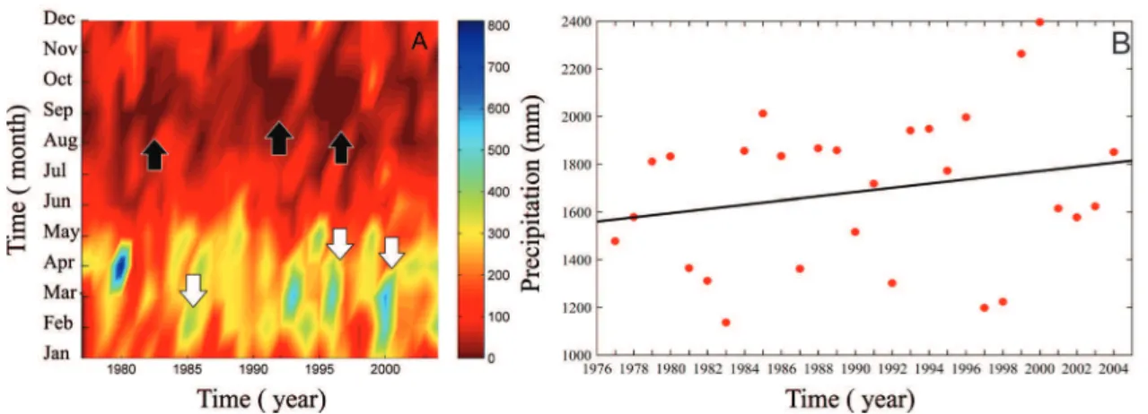 Figure 2. Variability of monthly (A) and annual (B) precipitation data during 1977-2004, with a straight annual trend obtained using the Mann Kendall test (B)