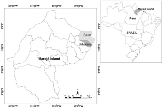 Figure 1. Map of sampling localities of accessions of bacurizeiro (Platonia insignis) on the Marajó Island, Pará, Brazil.