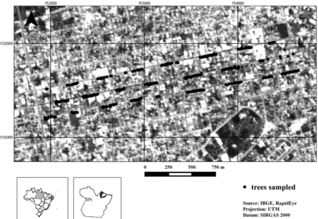 Figure 1. Map of the central urban area of the city of Santarém (Pará State, Brazil), showing the sampled trees (black dots) along the three surveyed avenues.