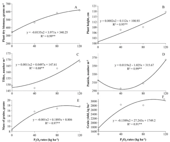 Figure 3. Plant dry biomass (A), plant height (B), number of tillers (C), number of panicles (D), mass of 1 000 grains (E) and grain yield (F) for the variety  Topi-Topi in response to different rates of application of phosphorus as P 2 O 5 .