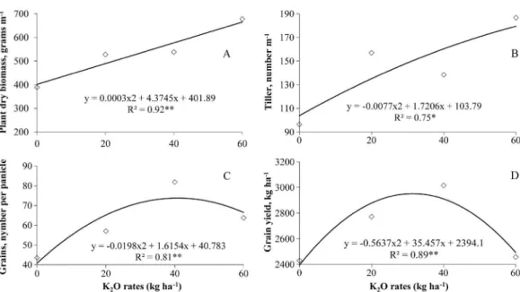 Figure 4. Plant dry biomass (A), number of tillers (B), number of grain per panicle (C) and grain yield (D) for the variety Topi-Topi in response to different rates  of application of potassium as K 2 O.