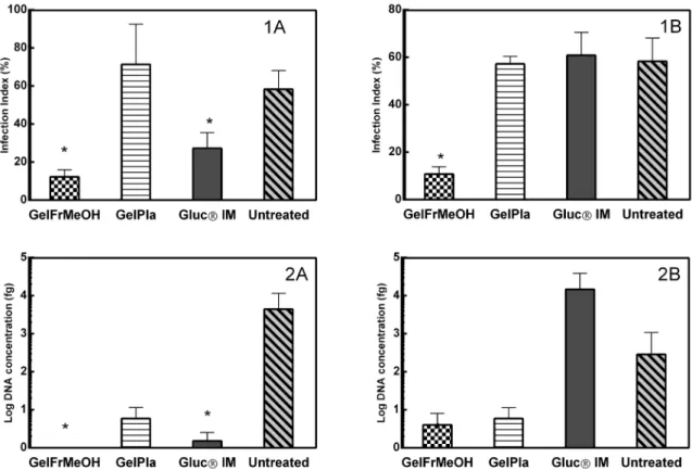 Figure 3. Parasitological studies of material from lesions of golden hamster (Mesocricetus auratus) nose infected by Leishmania (Leishmania) amazonensis