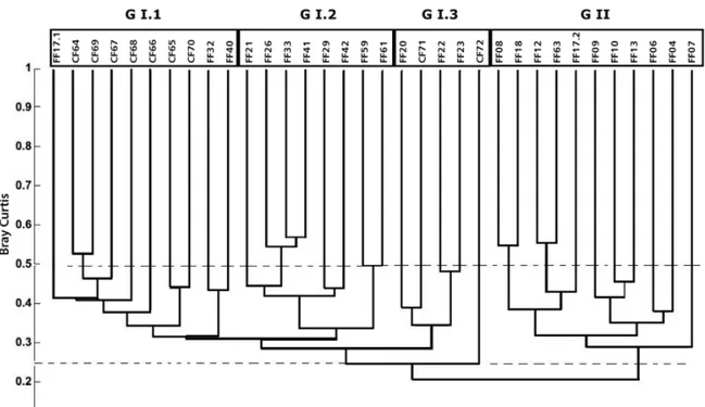 Figure 7. Cluster analysis dendrogram (UPGM), based upon Bray-Curtis similarity indices, for FF and CF sample sites in Alter do Chão, showing the groups  and subgroups derived by the analysis.