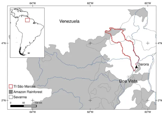 Figure 1. Location of the Darora Indigenous Community – São Marcos Indigenous Land (TISM), in the state of Roraima, northern Brazil