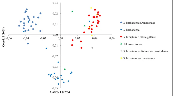 Figure 4. Principal Coordinates Analysis (PCoA) using 77 cotton plants of different autotetraploid species based on Jaccard dissimilarity using 21 morphological  descriptors