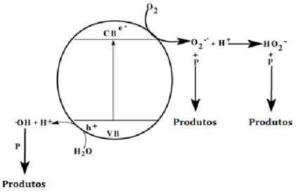 Figura 3: Representação esquemática das fases envolvidas no processo de fotocatálise [1]