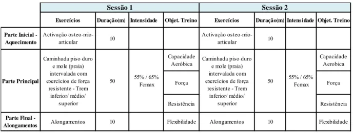 Tabela 5 - Programa de treino III 