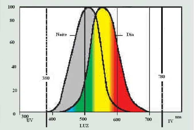 Figura 1.3: Sensibilade do olho humano em relação às cores e à luminosidade [2] 