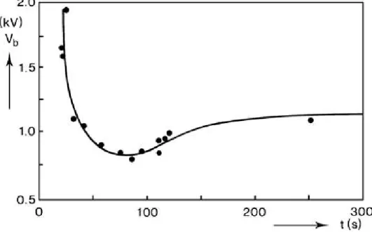Figura 1.9: Curva característica da tensão aplicada a lâmpada em função do tempo[4] 