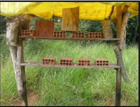 FIGURA  1.  Ninhos-armadilha,  vigotas  de  Spathodea  campanulata  (VS)  e  gomos  de  bambu (GB), disponibilizados nos ranchos entomológicos, construídos em duas áreas de  Cerrado, próximos a Uberlândia-MG