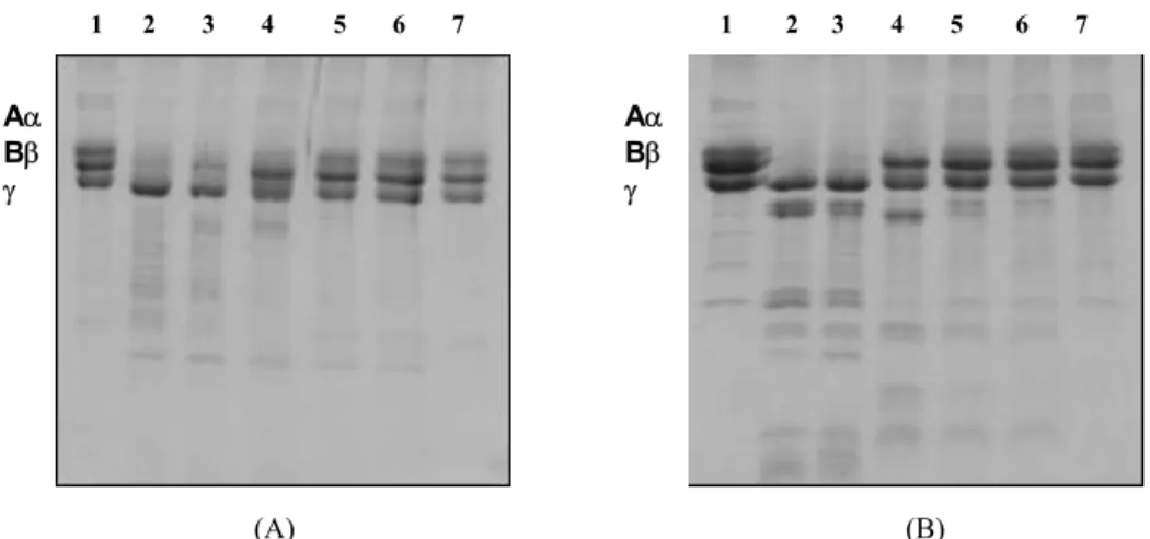 Fig. 2. Inibição da atividade fibrinogenolítica da peçonha bruta de Bothrops alternatus (A) e Bothrops  moojeni  (B) pela fração F1 do extrato aquoso de Schizolobium parahyba
