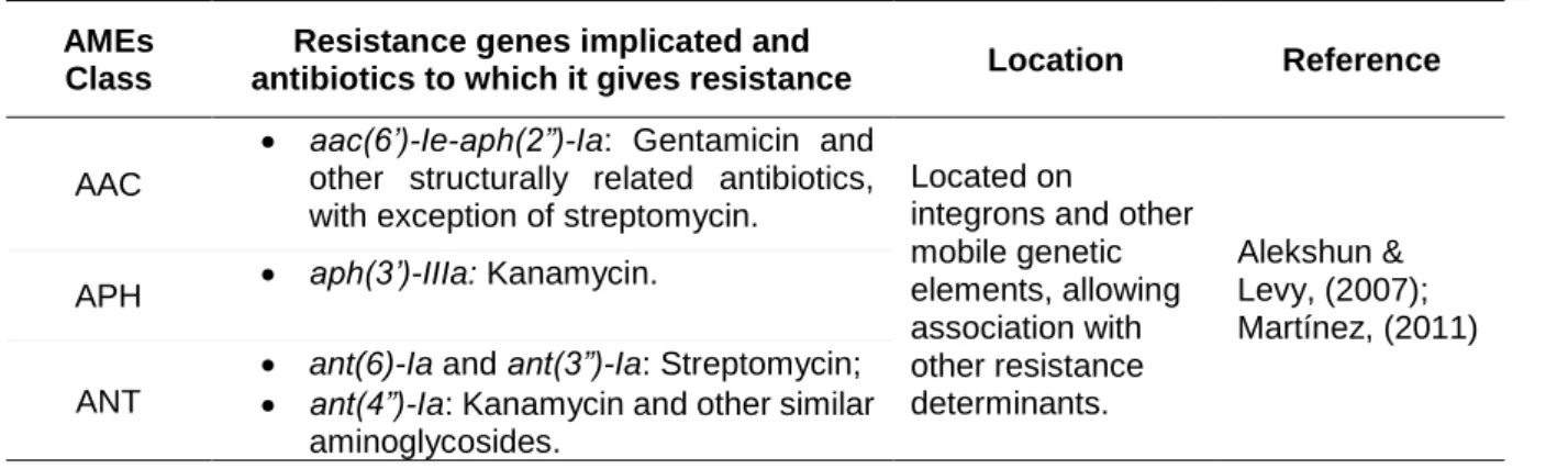 Table 3.  Most prevalent aminoglycoside resistance genes in  enterococci and the antibiotics to which  they give resistance