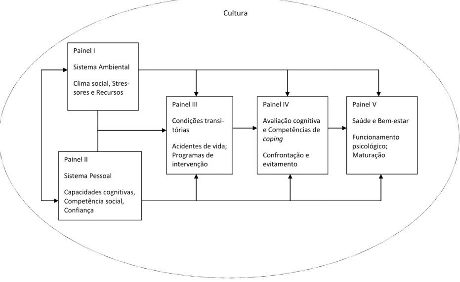 Figura 2.7. Modelo do contexto, coping e adaptação 