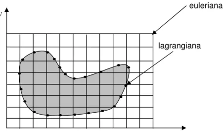 Figura 3.1 - Esquema ilustrativo das malhas euleriana e lagrangiana para uma interface  arbitrária