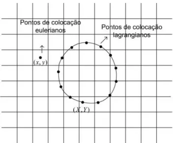 Figura 4.3: Representa¸c˜ao esquem´atica da malha euleriana e da malha lagrangiana nas simula¸c˜oes realizadas com o m´etodo FT.