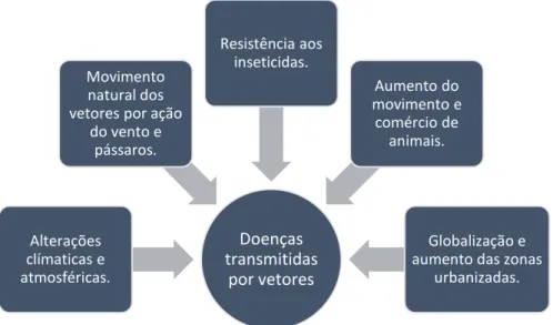 Figura  1  -  Fatores  responsáveis  pela  disseminação  da  infeção  por D.  immitis