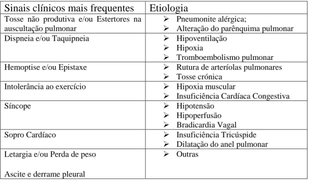 Tabela  1  -  Etiologia  dos  sinais  clínicos  mais  frequente  num  cão  com  dirofilariose  cardiopulmonar