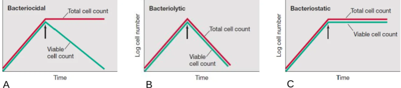 Fig. 4 – Curves of bacterial growth in the presence of bactericidal (A), bacteriolytical (B), and bacteriostatic (C)  agents