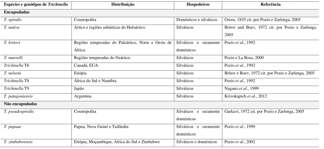 Tabela 2. Distribuição geográfica e ciclo das espécies e genótipos de Trichinella spp
