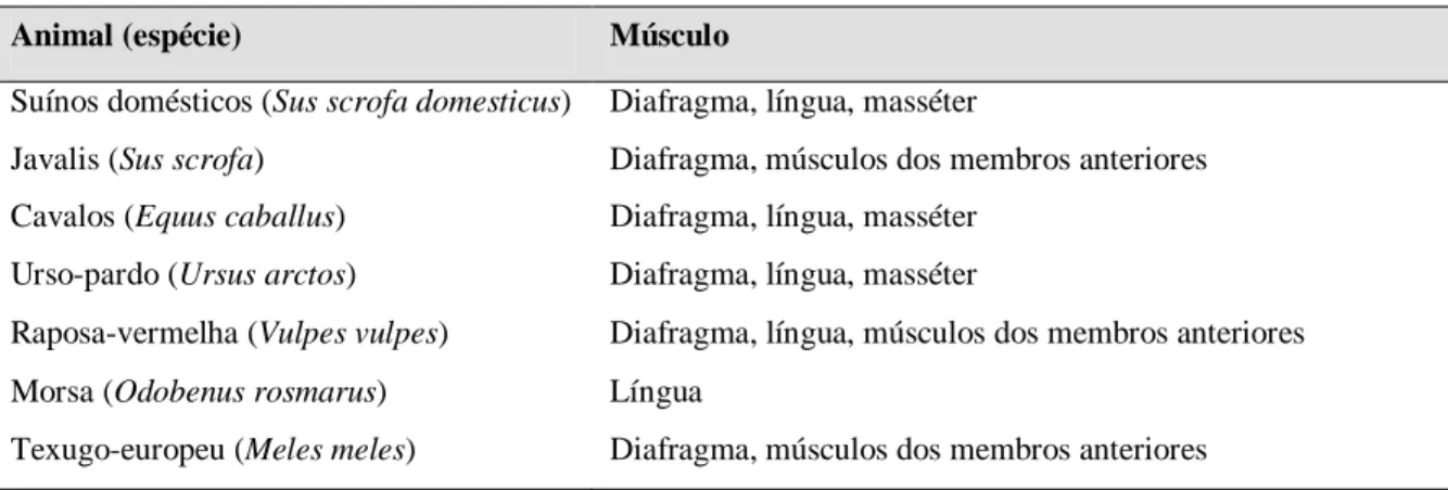 Tabela 5. Localização preferencial das L1 de Trichinella spp. em algumas espécies animais 