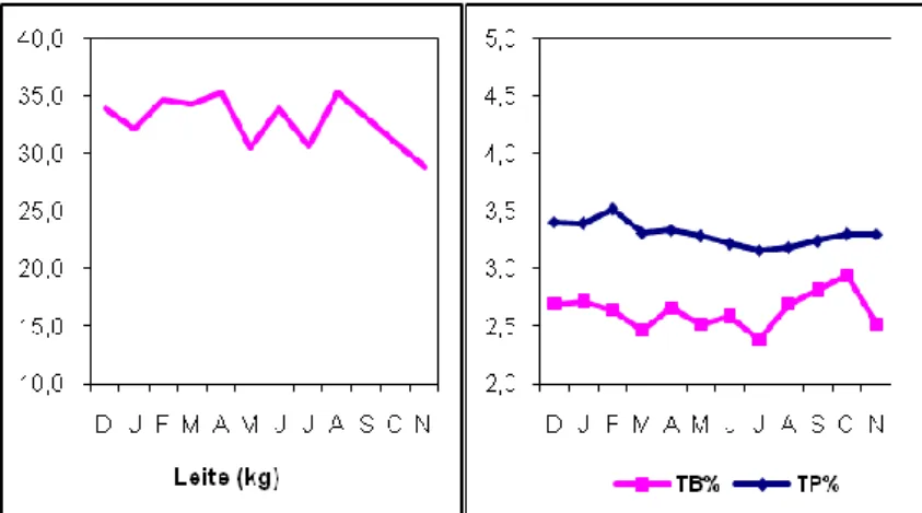 Figura 7 - Produção leiteira média/dia/vaca de Dezembro de 2008 a Novembro de 2009 da exploração B
