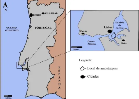 Figura 5. Representação geográfica do estuário do Tejo e do local amostragem (realizado por Sofia Ribeiro  segundo a metodologia de Carrola (2011)