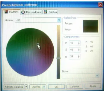 Figure 5 - Image of the sample’s central portion in Corel PHOTO-PAINT 12.