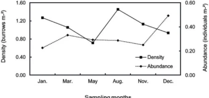 Figure 2 - Density and abundance distributions for Ucides cordatus during  the sampling months