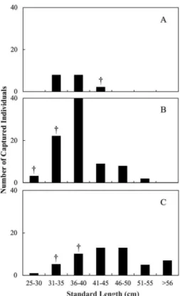 Figure 3. Number of fish Cichla spp. captured for different length intervals  (cm SL)