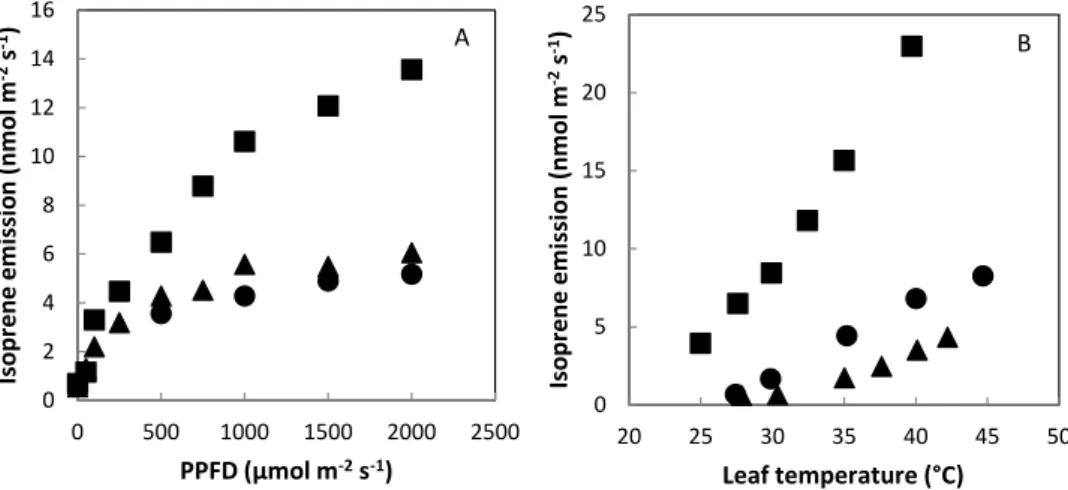 Figure 1 - Response of isoprene emission from different leaf developmental stages of E