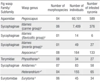 Table 1. Summary of the number of morphospecies, total individuals, and  infested syconia for each wasp genus associated with species Ficus in the  urban area of Manaus, Amazonas, Brazil