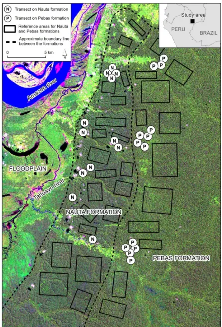 Figure 1. The study area and the inventory transects in Loreto, Peru. The background is a Landsat image (channels 7, 4 and 3), dated 20 June 2011.
