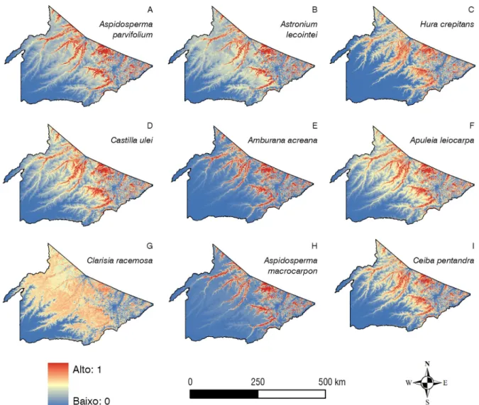 Figura 4. Média dos modelos de distribuição potencial por espécie, gerados com dados de inventário florestal censitários de planos de manejo, no leste Acre