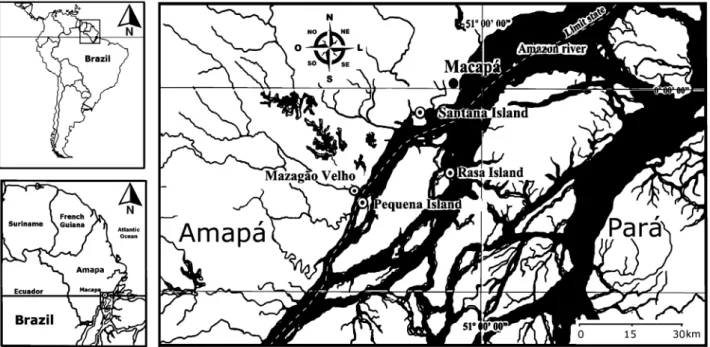 Figure 1. Study area location - 1) Pequena Island, 2) Santana Island, 3) Rasa Island and 4) Mazagão Velho.