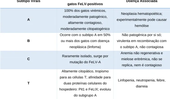 Tabela 1:  Classificação dos subtipos de FeLV. Adaptado de Kennedy &amp; Little, 2012 
