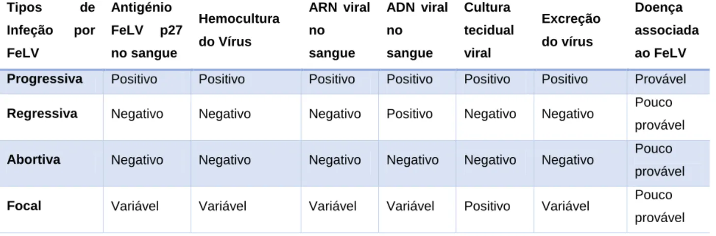 Tabela 2: Tipos de infeção por Vírus da Leucemia Felina (FeLV), adaptado de Hartmann, 2012a  Tipos  de  Infeção  por  FeLV  Antigénio FeLV  p27 no sangue  Hemocultura do Vírus  ARN  viral no sangue  ADN  viral no sangue  Cultura  tecidual viral  Excreção d