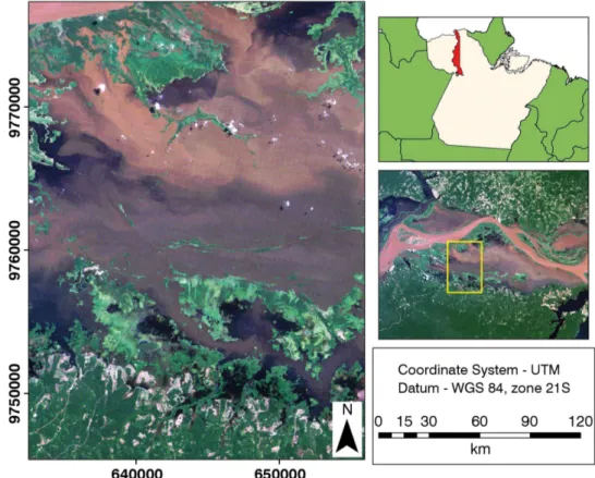 Figure 1. Lago Grande de Curuai floodplain, Amazon, Brazil. Upper right corner: Location of Pará state and the city of Óbidos