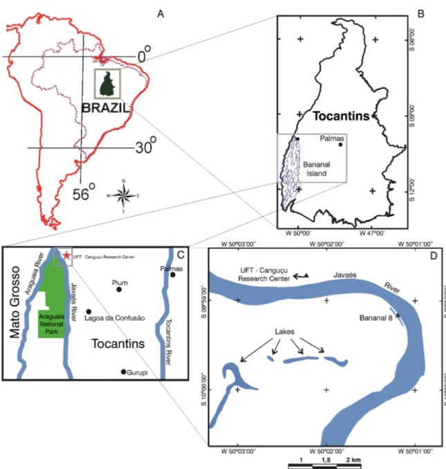 Figure 1. Geographic location of the study area. A. Geographic location of the Tocantins State