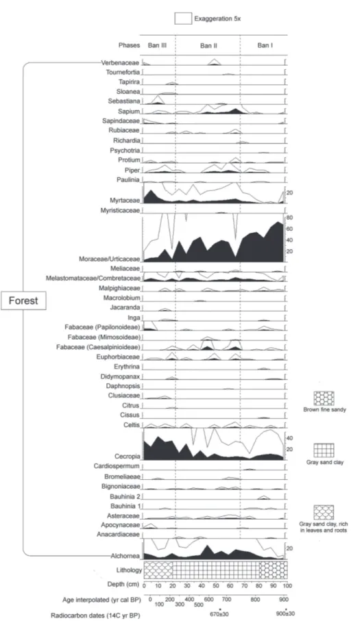 Figure 3. Pollen diagram percentages of Bananal 8 core with taxa included in ecological group Forest