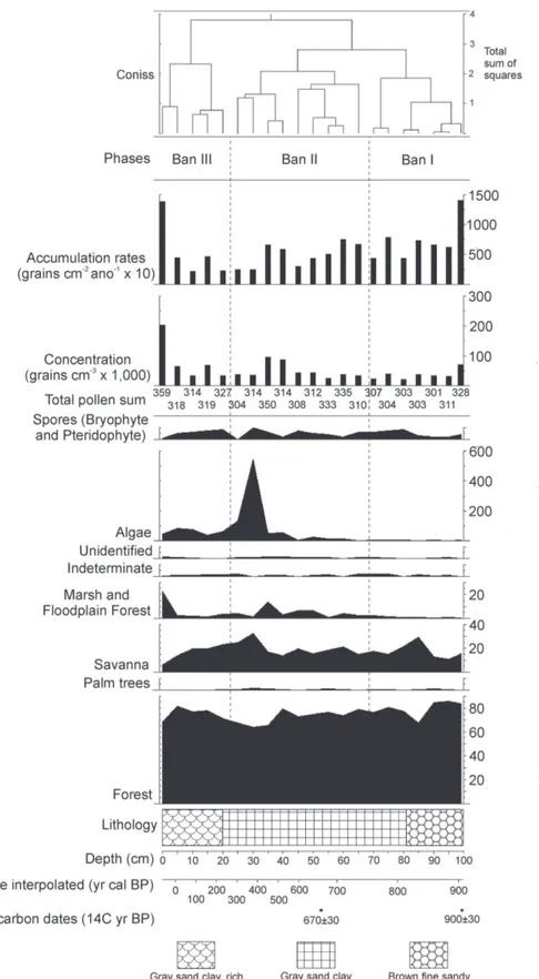 Figure 4. Summary pollen diagram showing radiocarbon ages, interpolated ages, lithology, ecological groups, pollen sum, pollen concentration and  accumulation rate, pollen phases and cluster analysis (CONISS).