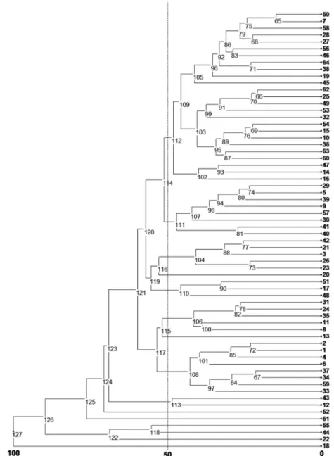 Figure 3. Dendrogram for 64 yam bean genotypes based on Euclidean distances calculated through 1000 bootstraps and UPGMA (Unweighted pair group  method with arithmetic mean).