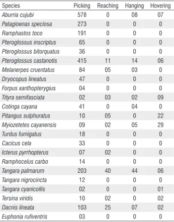 Table 2. Total number of Schefflera morototoni (Araliaceae) fruits consumed  by birds at Ribeirão Cascalheira, Mato Grosso, Brazil (all fruit gaining methods  combined).