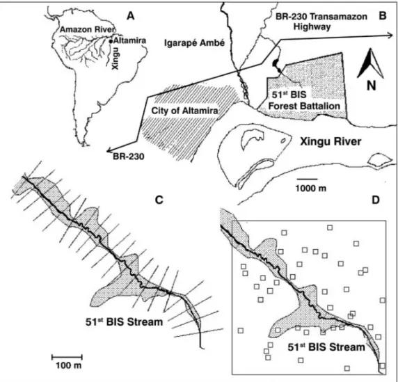 Figure 1. The study set up. A: Within the map of South America, the position of the city of Altamira, in the margin of the Xingu River, a major tributary of the  right margin of the Amazon