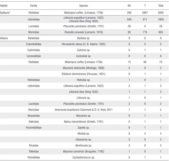 Table 1. List of mollusc species of epifauna and infauna found in mangroves Buenos Aires and Tronco